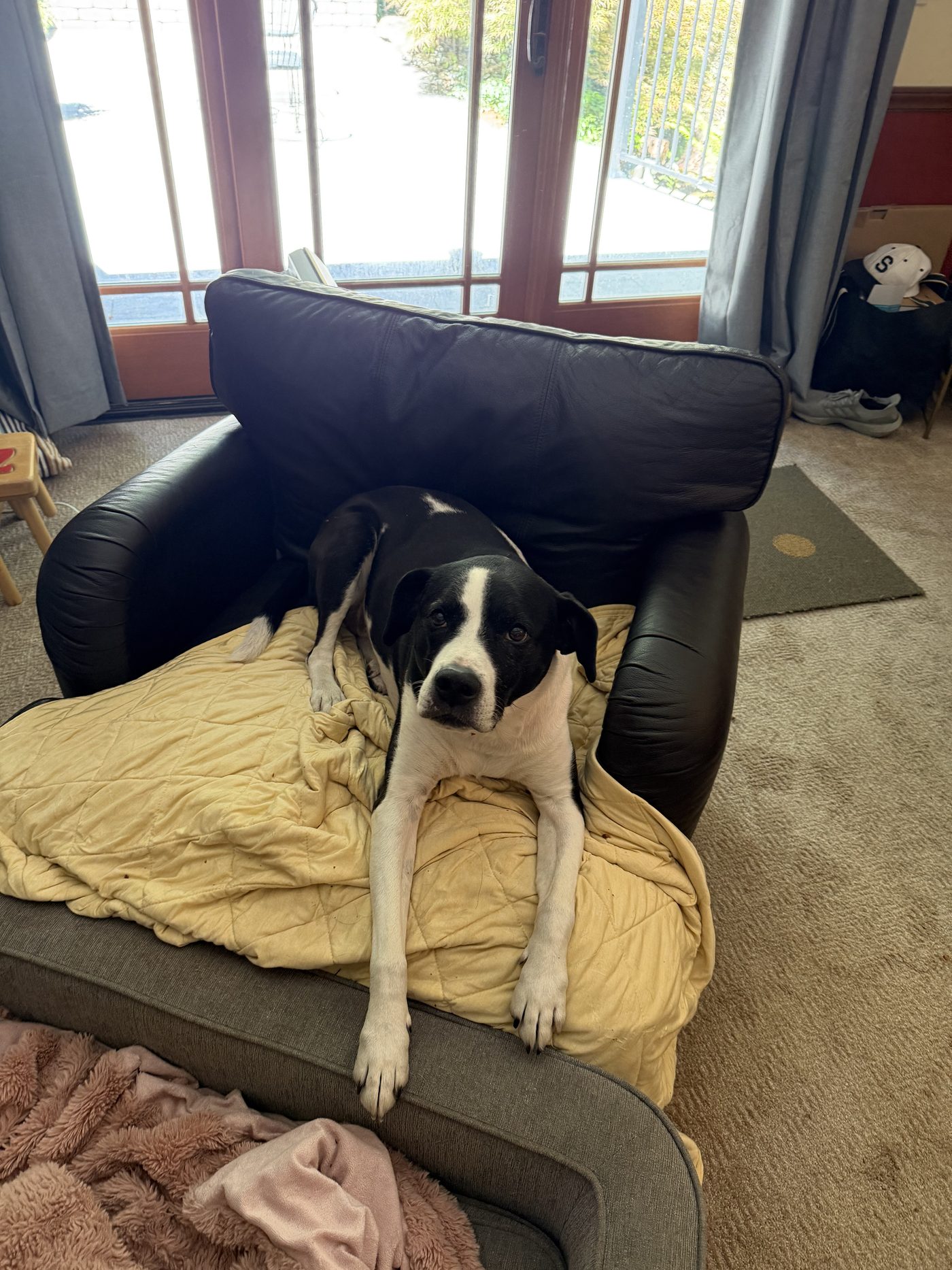 Echo lounging